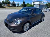 Volkswagen VW Beetle 1,2 Turbo Top Zustand TÜV Neu - Volkswagen Beetle: Turbo