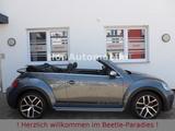 Volkswagen Beetle 2.0TSI DSG DUNE Leder Fender DAB Kamera - Volkswagen Beetle: Dune