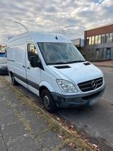 Mercedes-Benz Sprinter 311 CDI Kastenwagen - Mercedes-Benz Sprinter: Kastenwagen