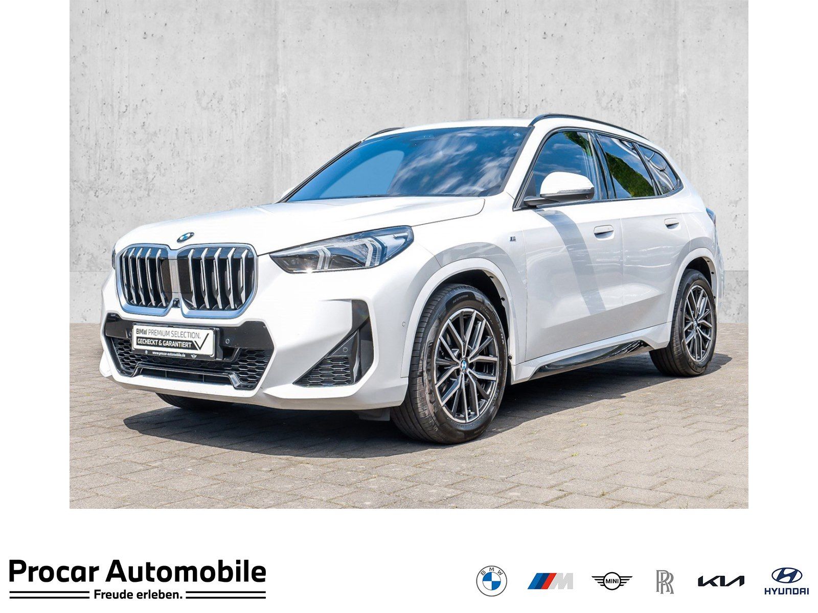 BMW X1 sDrive18d M Sport HUD PANO ACC RFK NAVI LED foto 1