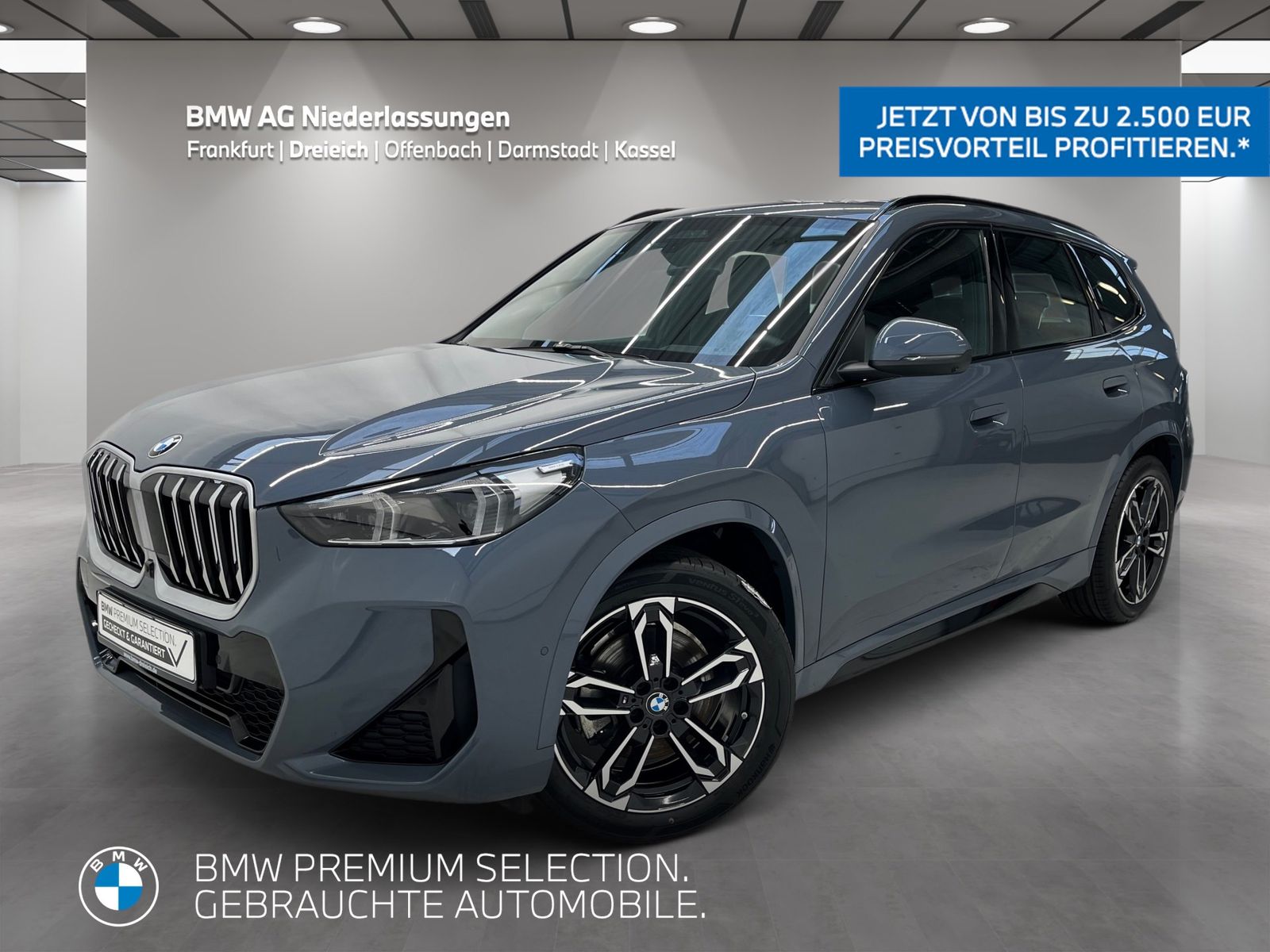 BMW X1 sDrive20i M Sport AHK Driv.Assist.Prof LED
