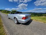 Mercedes-Benz SL 500 Silver Arrow | 1 von 1.515  - Mercedes-Benz: Von