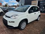 Fiat PANDA PANDINA 1.0 GSE PDC DAB KLIMA DIGITALTACHO - Fiat Panda Gebrauchtwagen in Augsburg