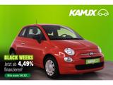 Fiat 500 1.0Mild-Hybrid Cult+KLIMA+DAB+SERVO+ISOFIX - Fiat 500 Gebrauchtwagen