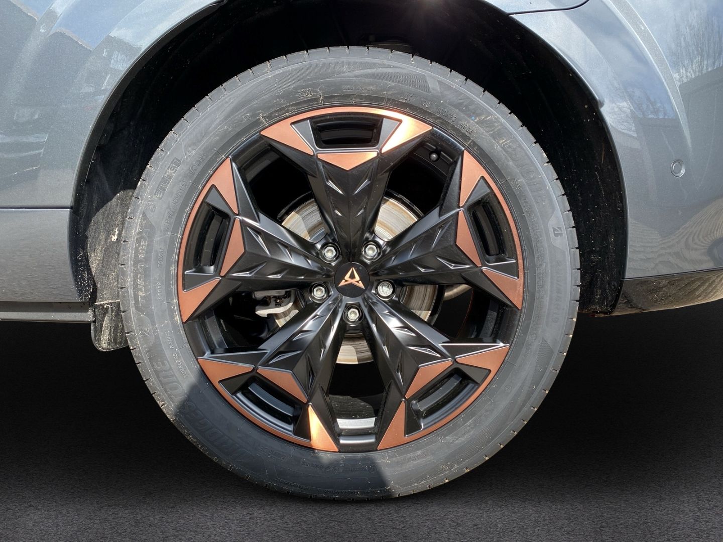Cupra Terramar - Bild 6