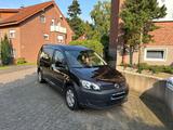 Volkswagen VW Caddy Maxi 1.6 TDI DSG  7-Sitzer  Sta... - Volkswagen Caddy Maxi in Bielefeld