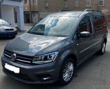 Volkswagen Caddy Maxi TRENDLINE 2.0 TDI 4 Motion Automatik - VW Caddy Maxi von privat