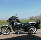 Suzuki Volusia VL 800 - SUZUKI VL 800 VOLUSIA