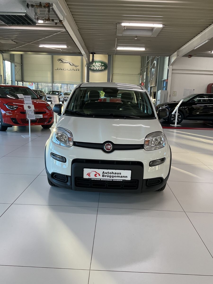 Fahrzeugabbildung Fiat Panda Hybrid 1.0 GSE