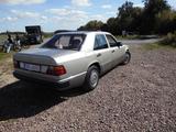 Mercedes-Benz 200 - Mercedes-Benz 200 Oldtimer: Limousine