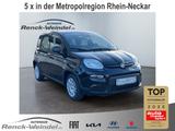 Fiat Panda Pandina Cross 1.0 GSE DAB Spurhalteass. Ve - Fiat Panda Pandina mit Hybrid-Antrieb (Benzin/Elektro)