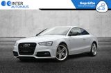 Audi A5 Coupe 3.0 TDI clean diesel quattro Sport/Plus - Audi A5 in Köln