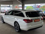Mercedes-Benz C 250d T-Mod 4M *STHZ*AHK*SHZ*PAN*LED*360Kam*NAV - Mercedes-Benz in Leipzig