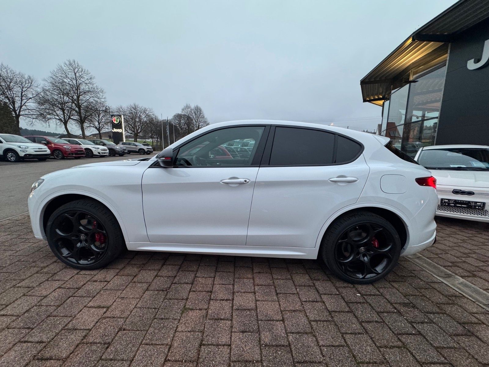 Fahrzeugabbildung Alfa Romeo Stelvio TRIBUTO ITALIANO 280PS Q4 NAVI KAMERA