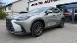 Lexus NX 450 h+ E-Four/BUSINESS/ACC/LED/DAB/AHK/RELAX - Lexus NX 450h Gebrauchtwagen