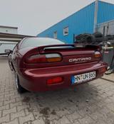Chevrolet Camaro 3.8 Automatik Leder Leder - Chevrolet aus 2001
