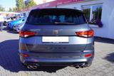 Cupra Ateca 2.0 TSI DSG 4Drive LED ACC AHK Navi Kamera - graue Cupra Ateca