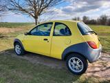 Ford Ka Viva in gutem Zustand - Ford Ka/Ka+ in Halle