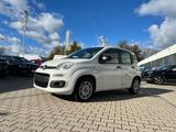 Fiat New Panda 1.2 8V Easy *Sitzheizung Klima DAB+ NS - Fiat New Panda Gebrauchtwagen