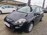 Fiat Punto 5 Porte Punto 5p 1.4 Easy s&s - Fiat Punto: Easy