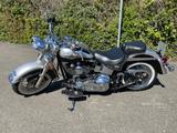 Harley-Davidson Heritage Classic FLSTCI Inj. 100th Anniversary  - HARLEY-DAVIDSON 2003 100TH ANNIVERSARY