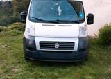 Fiat Ducato  9 Sitzer Bus - Fiat Ducato in Duisburg