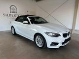BMW 218i M Sport Paket PDC SHZ NAVI HiFi ALCANTARA - BMW: M Sport Paket