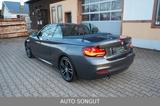 BMW 230i Sport-Aut. Cabrio *M-SPORTPAKET*H&K*KAMERA* - : Cabrio, Sportpaket