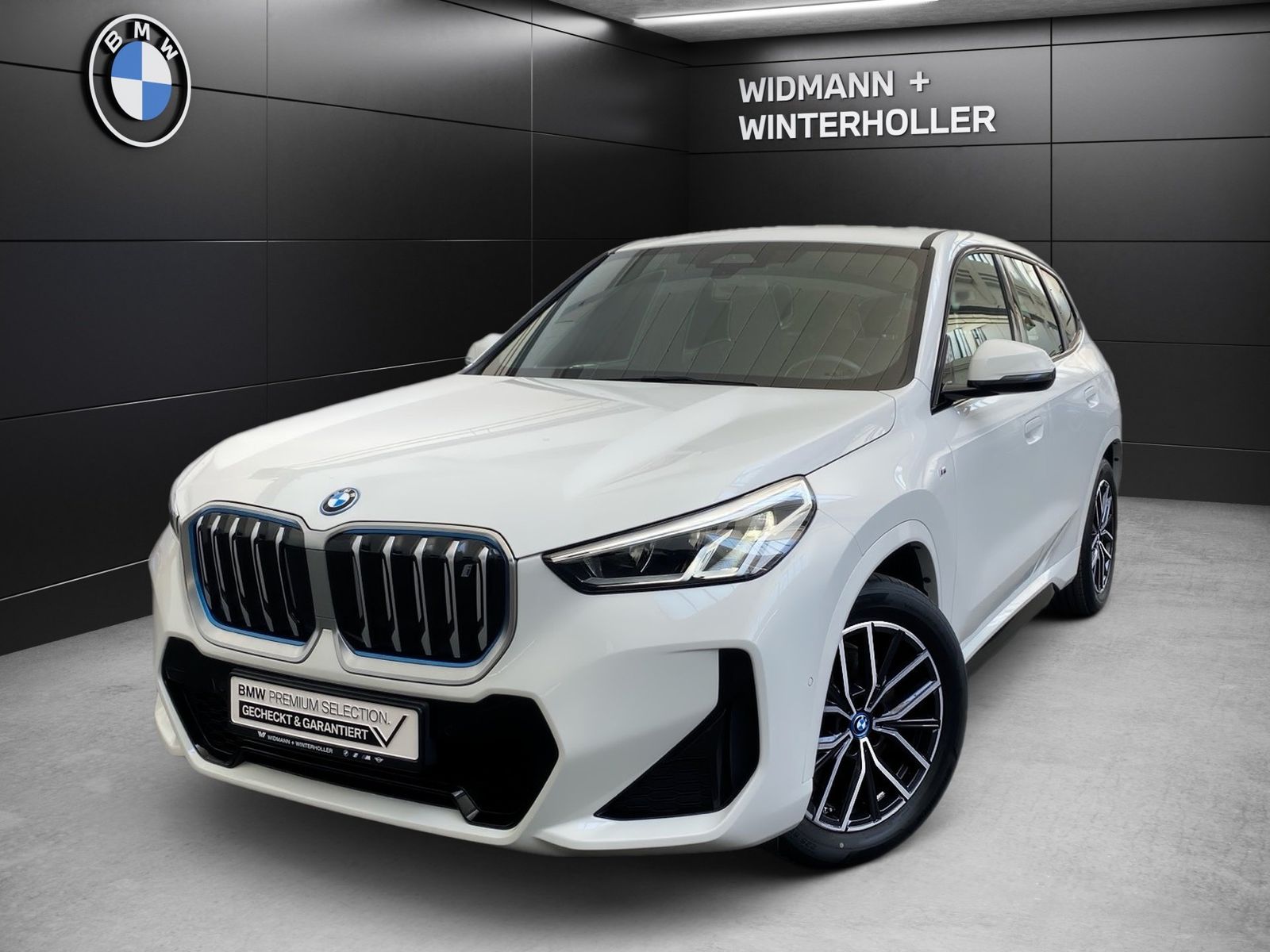 BMW iX1 xDrive30 M Sport Navi LED DAB Iconic Sound