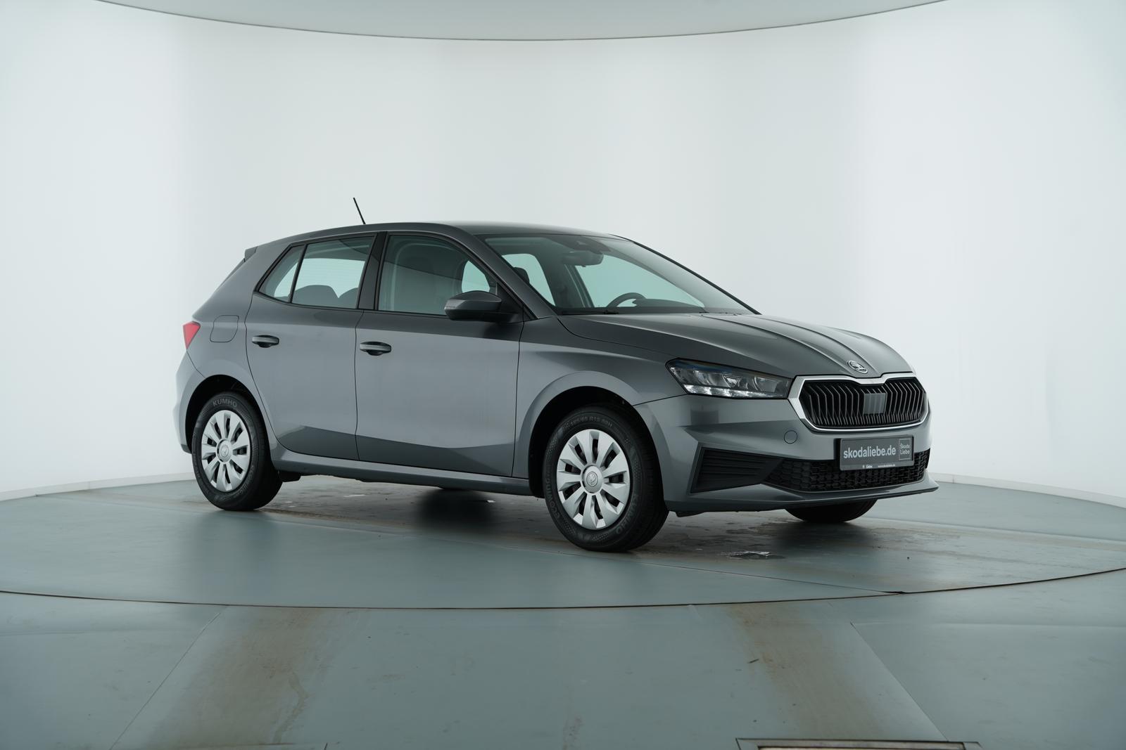 Skoda FABIA ACTIVE 1.0MPI -BIS ZU 800KM REICHWEITE-