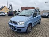 Fiat Panda 1.2L 8V Dynamic 61.000-KM Klima TüvNeu - gebrauchte Fiat Panda aus dem Jahr 2007