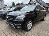 Mercedes-Benz ML 350 CDI BlueTec AMG Sportpaket - Mercedes-Benz ML 350: Cdi AMG