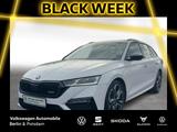 Skoda Octavia Combi RS 2.0TDI DSG 4x4 STHZG P-DACH LED