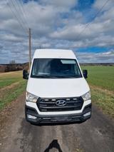 Hyundai H350 - Hyundai LKWs