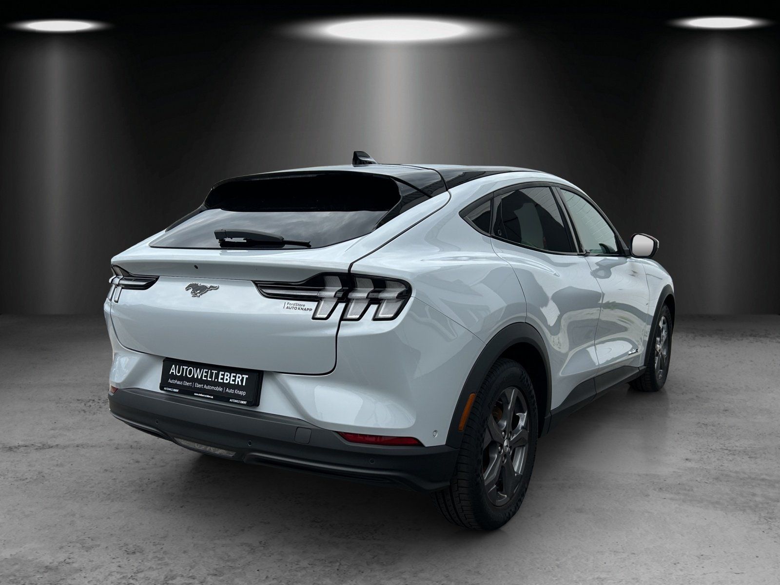 Fahrzeugabbildung Ford Mustang MACH-E Navi Leder Panodach