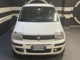 Fiat Panda 1.3 MJT 16V DPF Emotion (55 kw) - Fiat Panda Emotion mit Diesel-Antrieb
