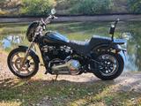 Harley-Davidson TORXSTER SOFTAIL STANDARD  - Offers