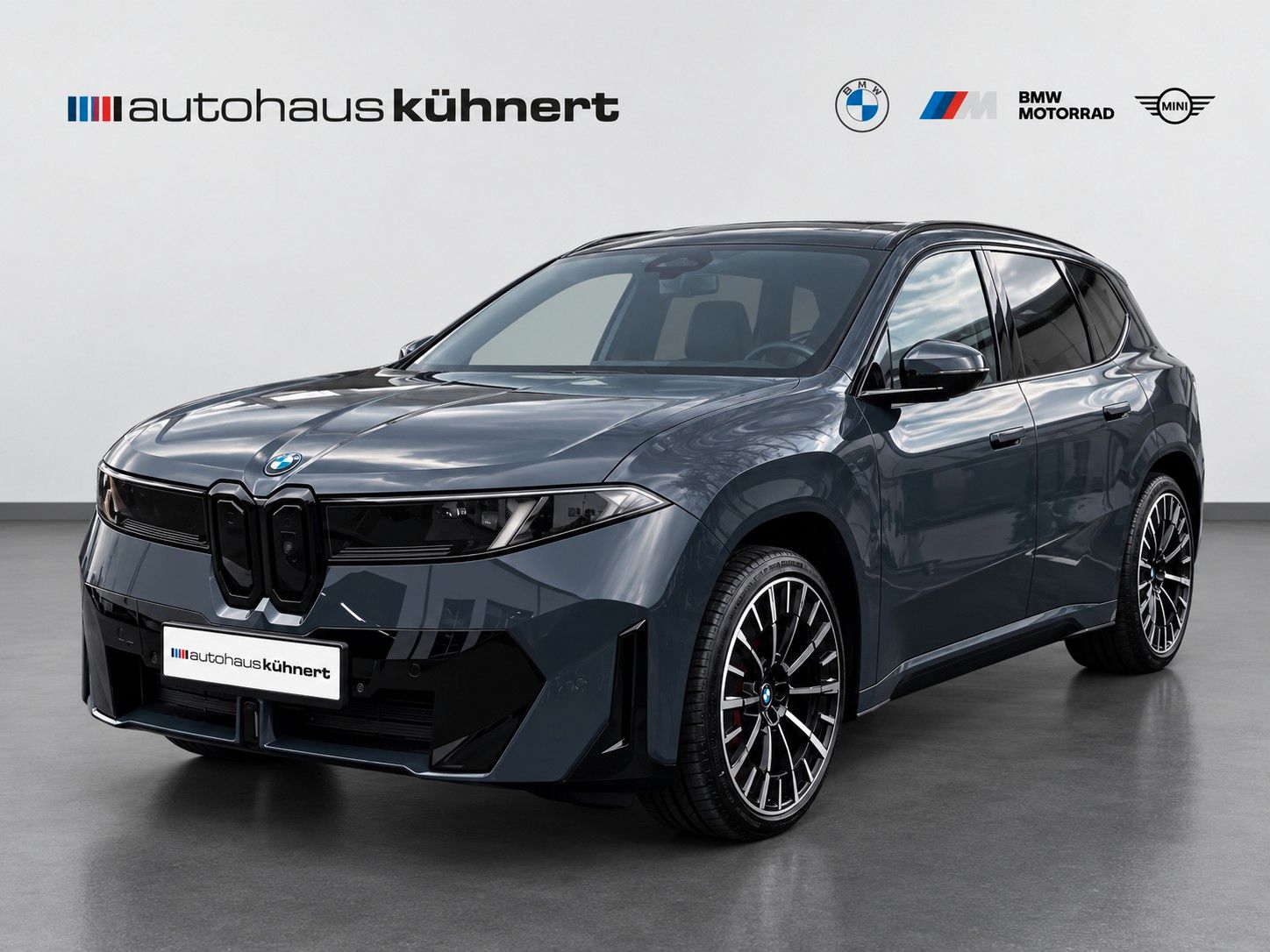 BMW iX3 50 xDrive M Sport Paket Pro Pano
