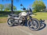 Triumph Street Scrambler 900 - sehr gepflegt m. Garantie