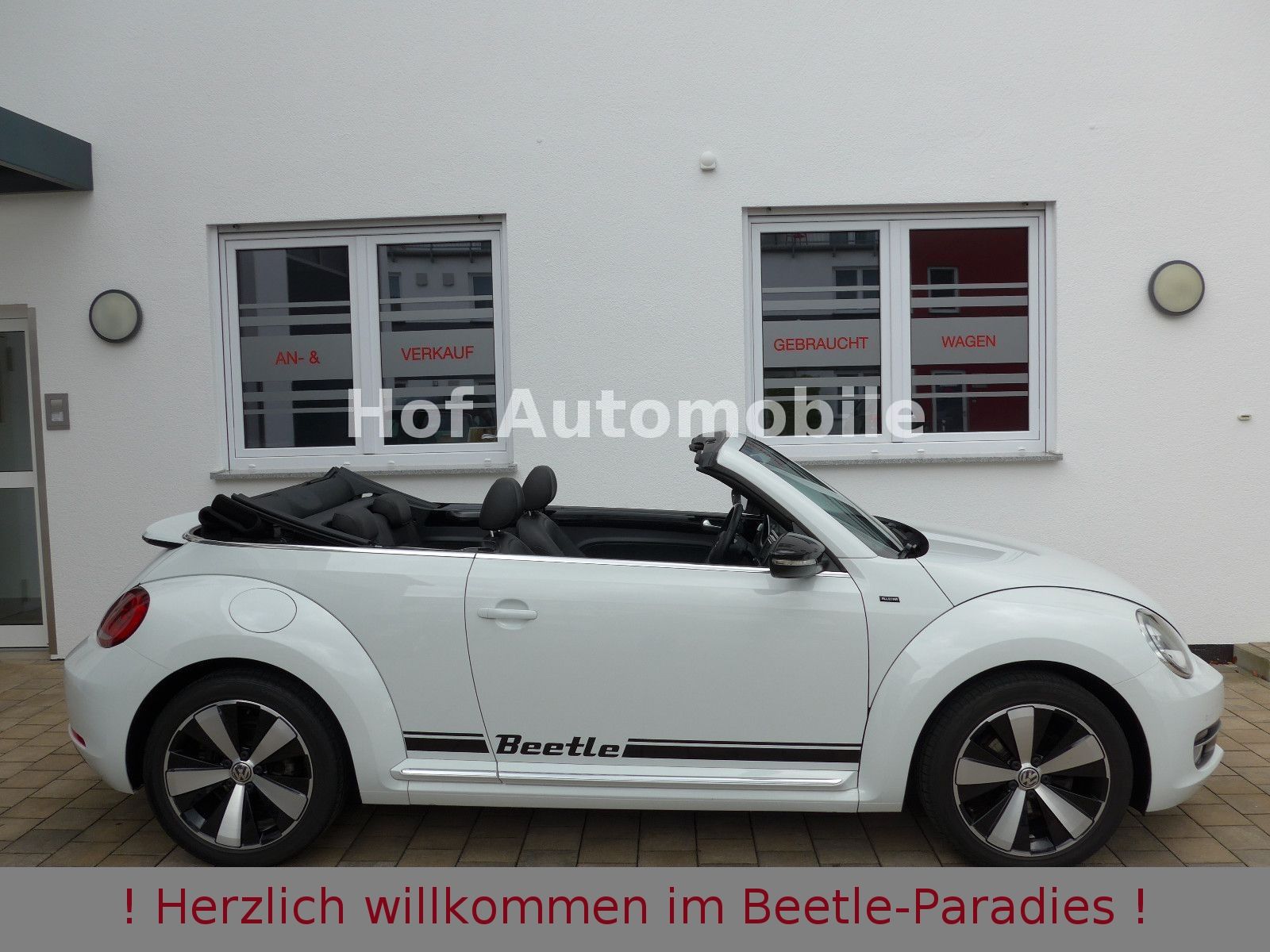 Volkswagen Beetle 1.2TSI Allstar Plus Xenon Leder Fender foto 3
