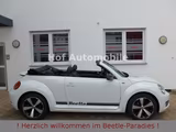 Volkswagen Beetle 1.2TSI Allstar Plus Xenon Leder Fender - Volkswagen Beetle: Fender