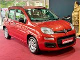Fiat Panda My Panda/2.Hand/Klima/Nr.64 - Fiat Panda: Rot