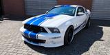 Ford Mustang Shelby GT500 5.4l V8 SVT