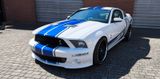 Ford Mustang Shelby GT500 5.4l V8 SVT