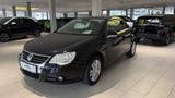 Volkswagen Eos 1.6 FSI - Volkswagen Eos: F