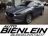 Mazda CX-30 2.5l 140PS 6AG Takumi Leder Bose 360° Matr - Mazda CX-30 Takumi mit Benzin-Antrieb