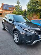 Rover Land Rover Evoque  2.0 Diesel - Rover Gebrauchtwagen