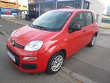 Fiat Panda Easy Klima 1 Hand 17000 KM!! - Fiat Panda in Ludwigshafen