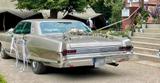 Pontiac Star Chief / Bonneville 1965 V8 Oldtimer - Pontiac Bonneville Gebrauchtwagen