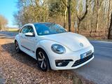Volkswagen Beetle Sport 1.4 TSI / 160 PS / R-Line    - Volkswagen Beetle: Sport